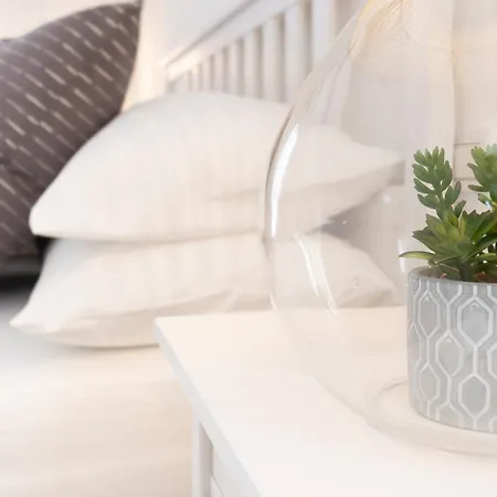 Apartment Dream In *
